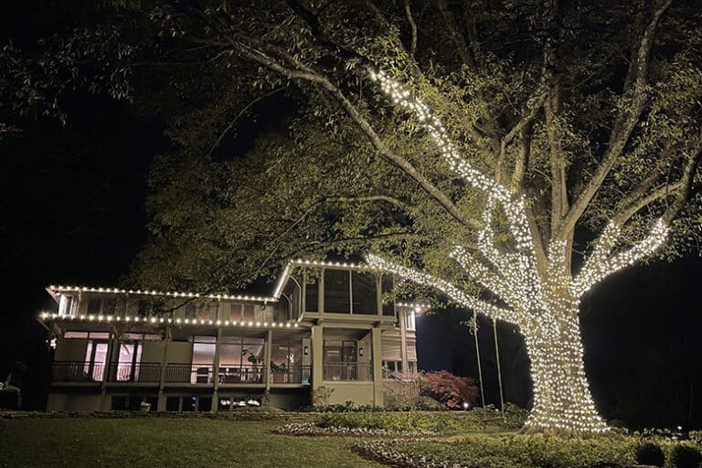 CHRISTMAS LIGHT INSTALLATION SERVICE IN KNOXVILLE TN 10