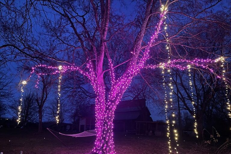 residential holiday lighting Maryville TN